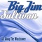 All Along The Watchtower - Big Jim Sullivan lyrics