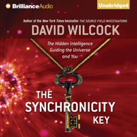 David Wilcock - The Synchronicity Key: The Hidden Intelligence Guiding the Universe and You (Unabridged) artwork