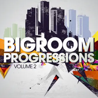 Bigroom Progressions, Vol. 2 by Various Artists album reviews, ratings, credits