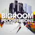 Bigroom Progressions, Vol. 2 album cover