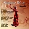 Flamenco Vol. 13