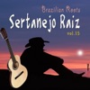 Sertanejo Raiz, Vol. 15
