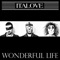 Wonderful Life artwork