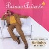Netinho de Paula