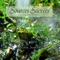 Adeimus - Nicolas Jeandot lyrics