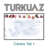 Covers Vol. 1 album lyrics, reviews, download