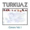 Turkuaz - There Was a Time (Instrumental)