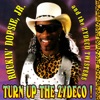 Turn Up the Zydeco! artwork