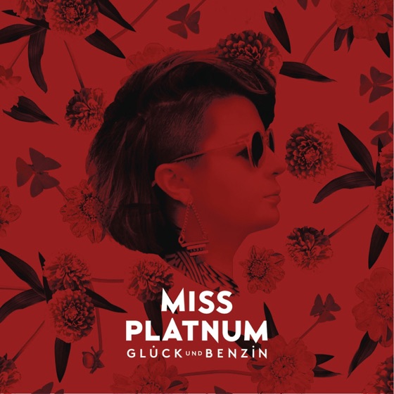 Cover artwork for 99 Probleme