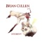 Cones Roots - Brian Cullen lyrics