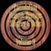 Foundation Deejays Singers & Dubs, Vol. 9