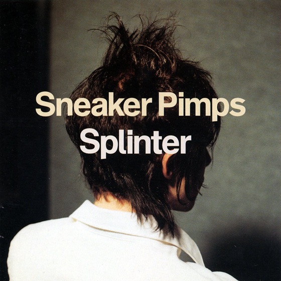 Cover artwork for Splinter