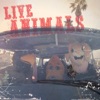 Live Animals, 2012