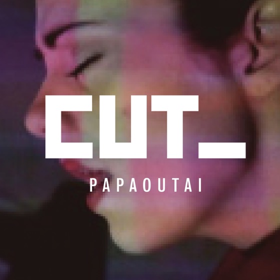 Cover artwork for Papaoutai