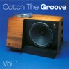 Catch the Groove, Vol. 1