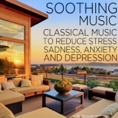 Soothing Music: Classical Music to Reduce Stress, Sadness, Anxiety, and Depression Including Fur Elise, Clair de lune, Swan Lake, and More! artwork