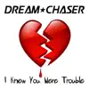 I Knew You Were Trouble (Remix) : A Dubstep Tribute to Taylor Swift - Single album lyrics, reviews, download