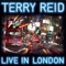 Rain and the Red Lights - Terry Reid lyrics
