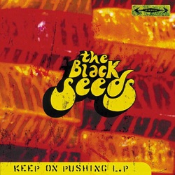 The Black Seeds - Keep On Pushing (Workshop Re-Dub)