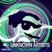 Unknown Artist - Notorious Honey