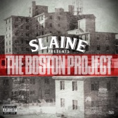 The Boston Project artwork