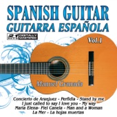 Spanish Guitar, Guitarra Española 1 artwork
