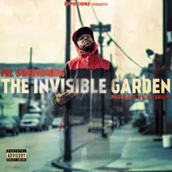 The Invisible Garden by Fel Sweetenberg & Dj Brans album reviews, ratings, credits