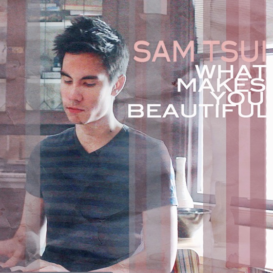 Cover artwork for What Makes You Beautiful