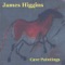 Bouncy House - James Higgins lyrics