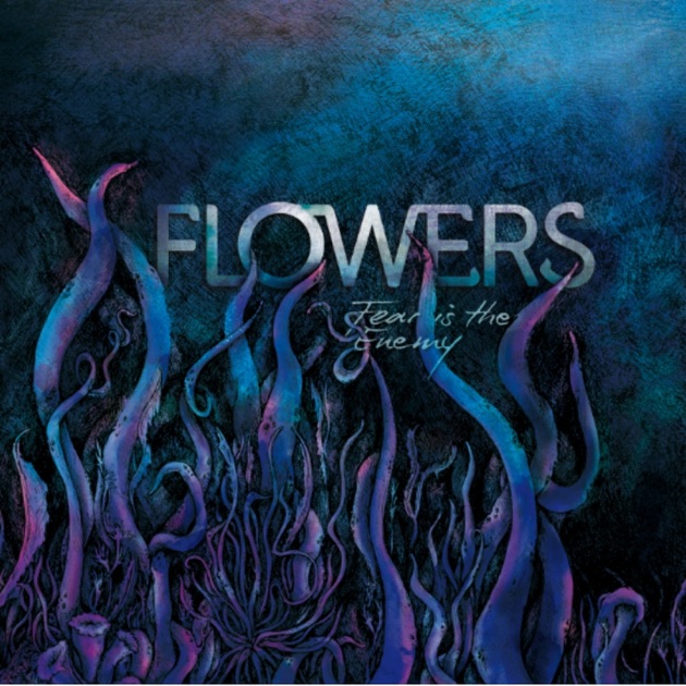 Icehouse Flowers 30th Anniversary Edition Best Flower Site