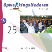 Opwekkingsliederen 25 artwork