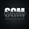 Surrender album lyrics, reviews, download