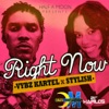 Right Now (feat. Stylish) - Single, 2012