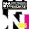 Salinas (Ted Nilsson Remix) - Sonny Wharton & Digital Impression lyrics
