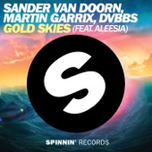 Gold Skies (Radio Edit) artwork