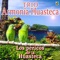 Los Pericos de la Huasteca - Trio Armonia Huasteca lyrics