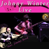 Johnny Winter (Live) artwork