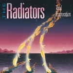 The Radiators - You Can't Take It With You