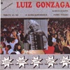 Luiz Gonzaga (Tributo ao Rei)