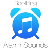 Secret Koto Alarm Sound artwork