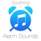 Secret Koto Alarm Sound artwork