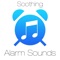Angels of Love Harp Alarm Sound - Steven Cravis lyrics