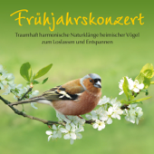 Frühjahrskonzert: Harmonische Naturklänge heimischer Vögel - Kings of Nature