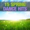 15 Spring Dance Hits, 2012