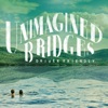 Unimagined Bridges artwork