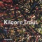 Novocaine - Kilgore Trout lyrics