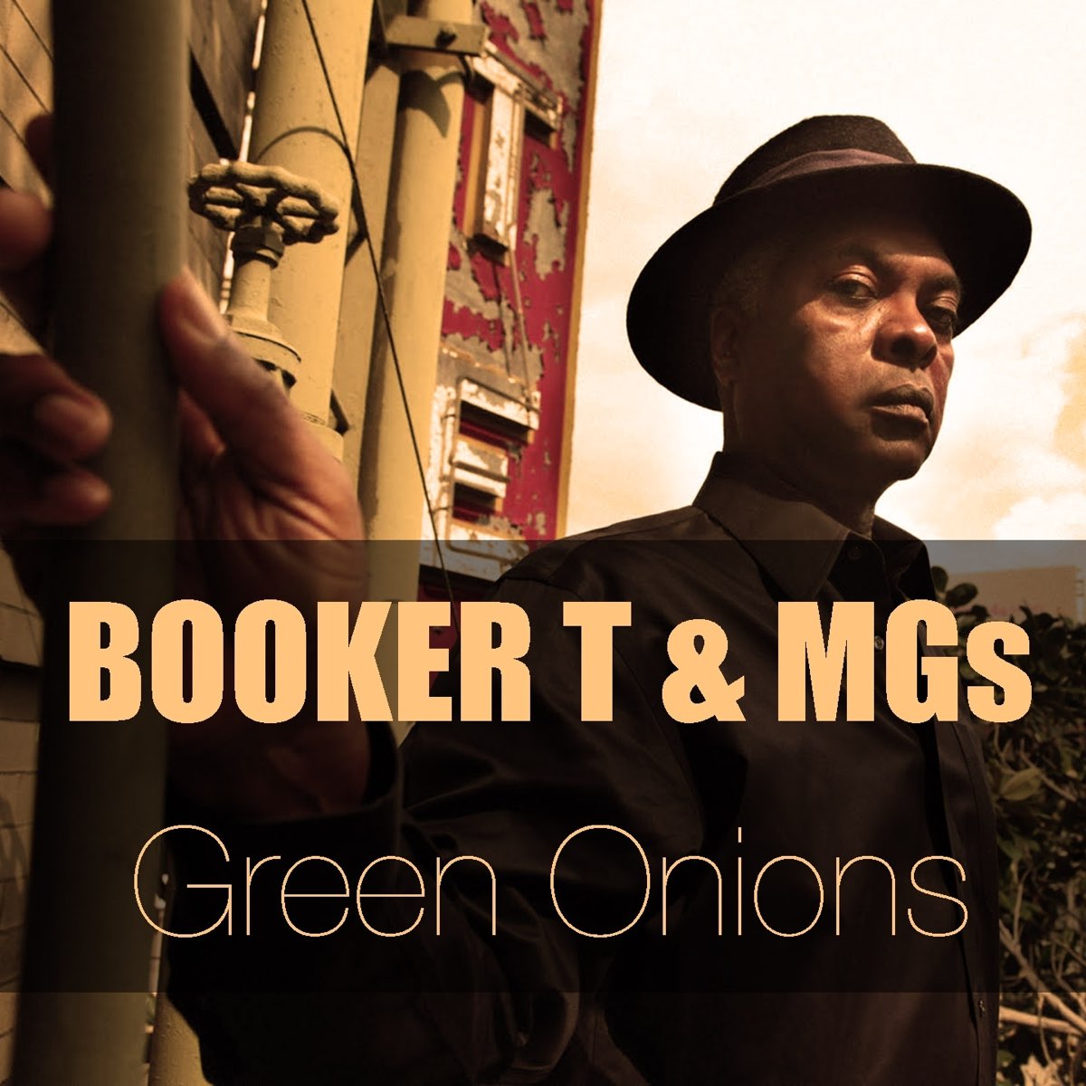 ‎Booker T. & The M.G.'s在 Apple Music 上的《Booker T & The MGs: Green Onions》