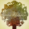 White Dandelion - EP artwork