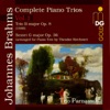 Trio Parnassus - Piano Trio in B Major, Op. 8: I. Allegro con brio