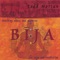 Bija - Todd Norian lyrics